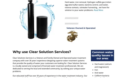 Clear Solution Services